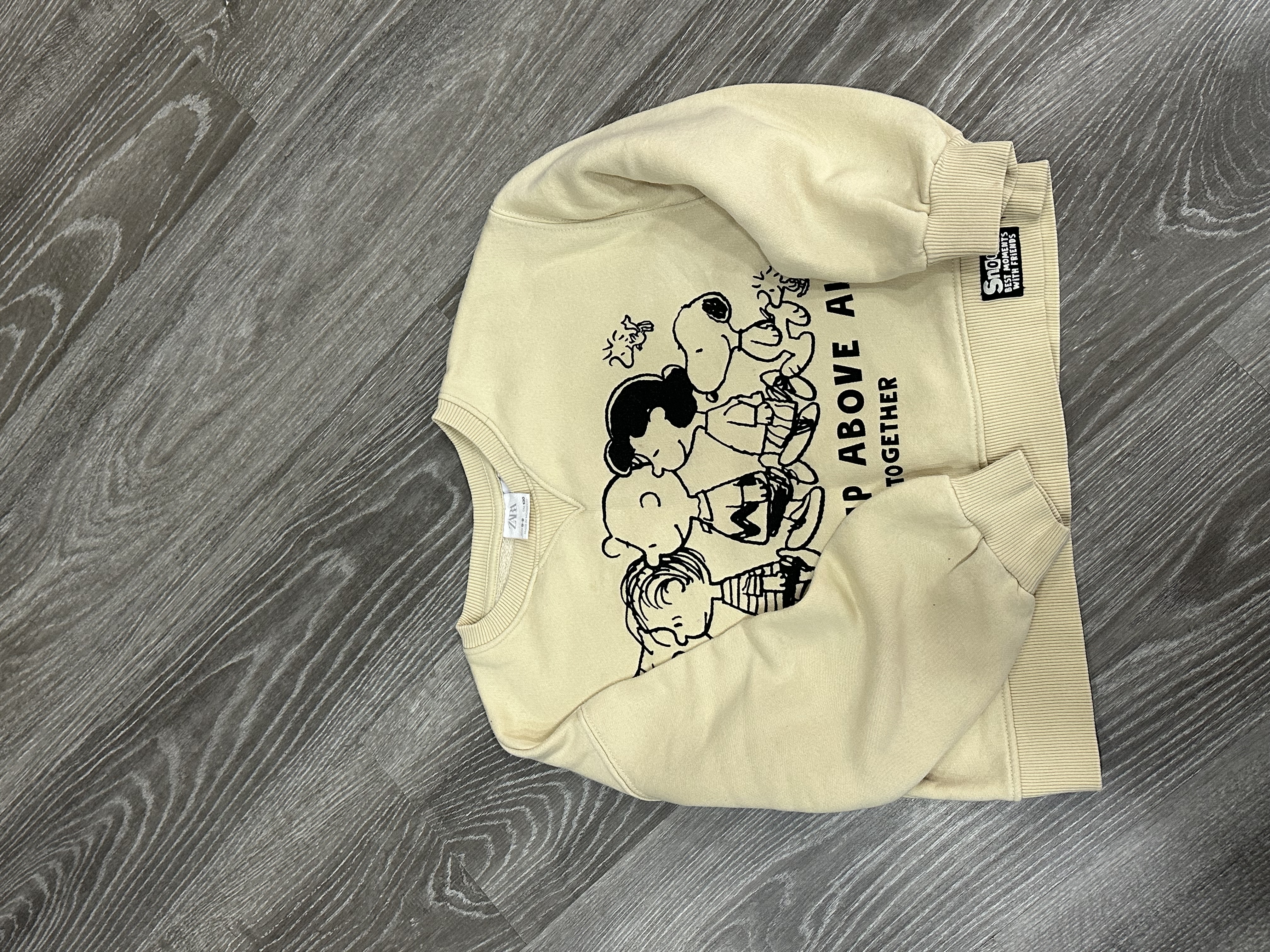 Pull de chez la marque Zara