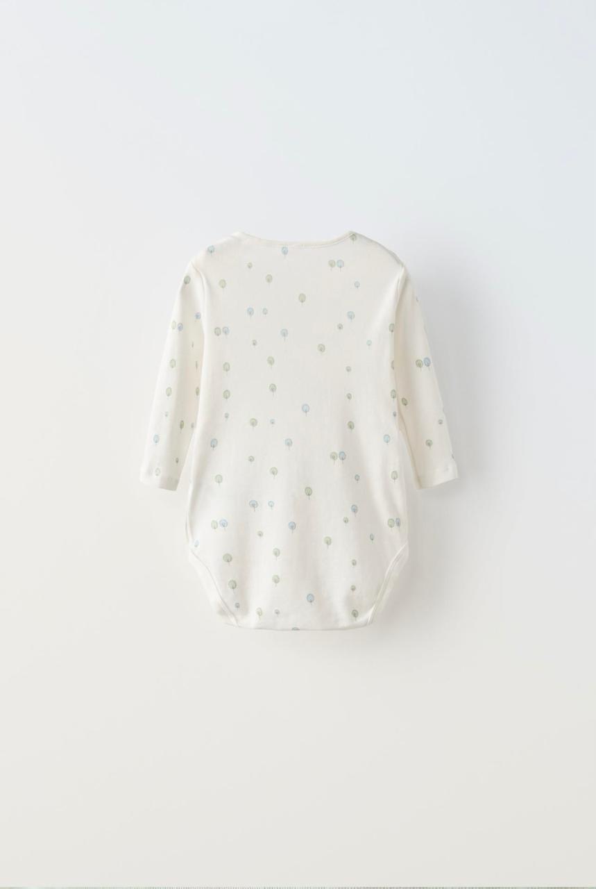 Lot de 5 bodys ZARA à col rond et manches longues 6-9 mois