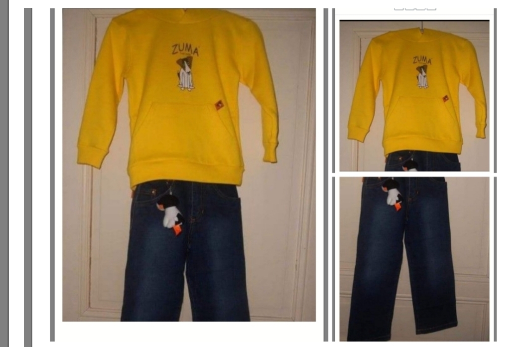 Tenue Zuma the dog