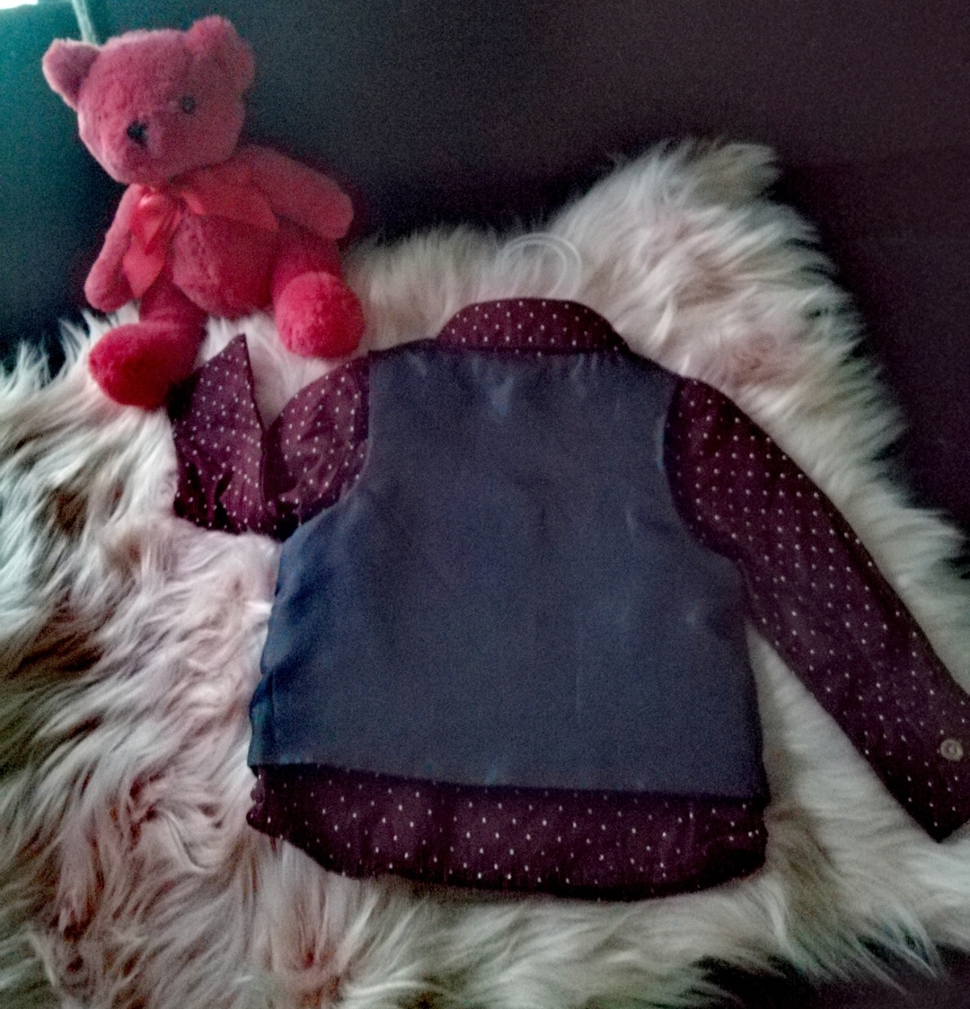 Superbe Lot chemise + gilet