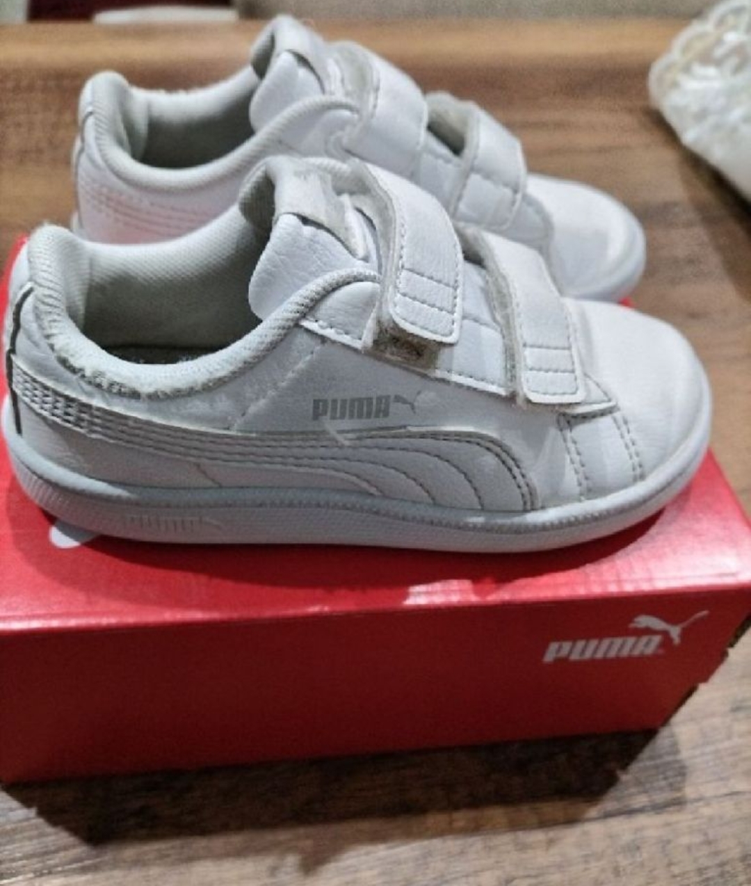 Puma authentique
